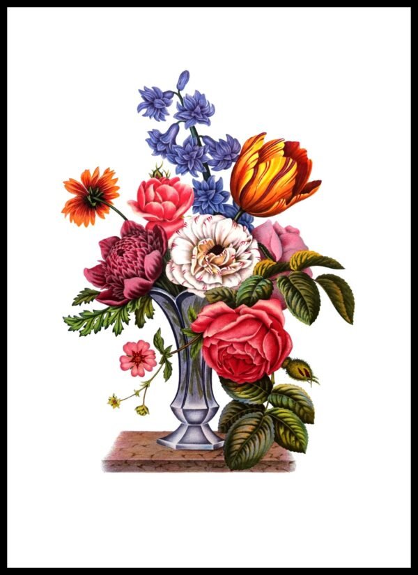 ALP F13063 Vases (Antique Prints)